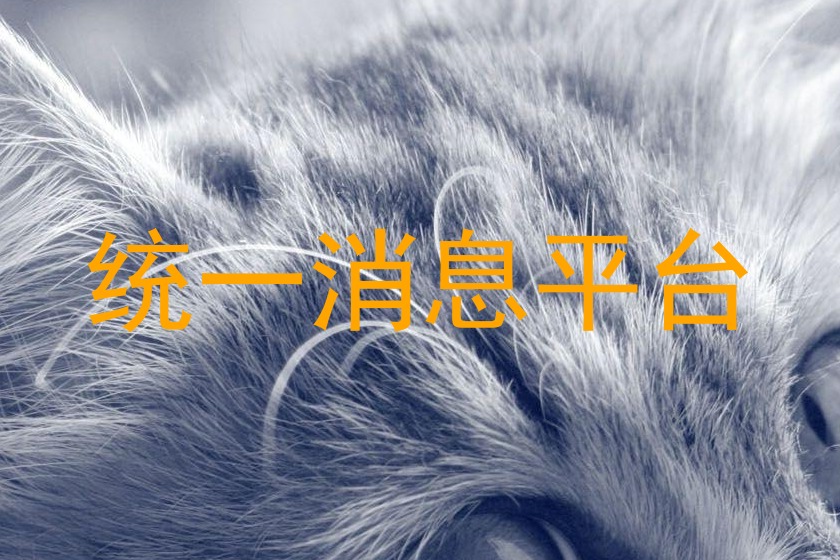 统一消息平台