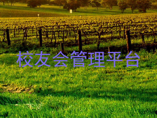 校友会管理平台