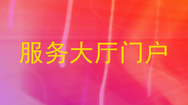 服务大厅门户