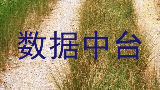 数据中台