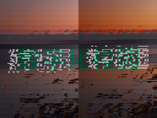 数字化校园