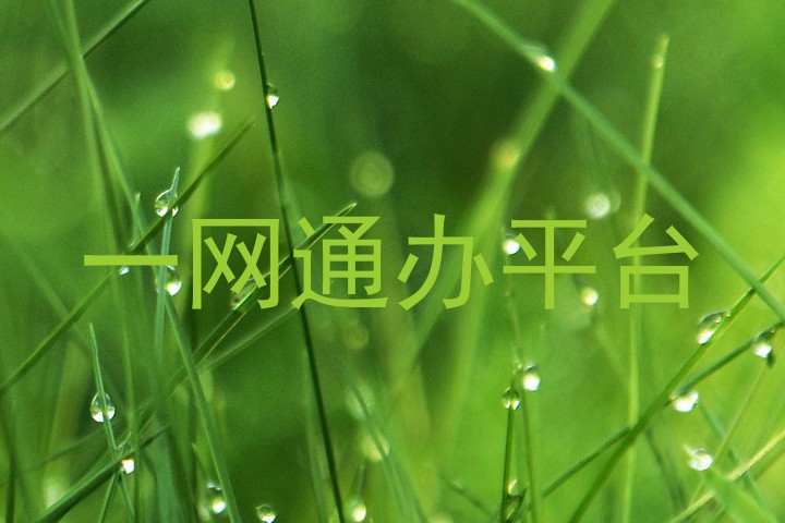 一网通办平台