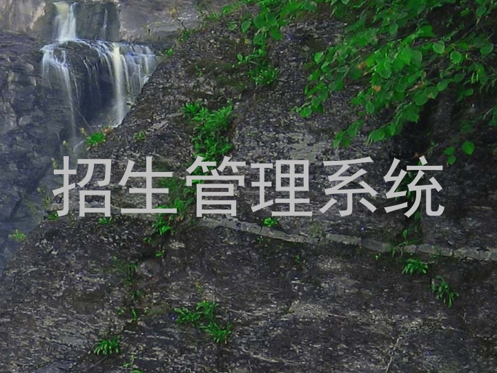 招生管理系统
