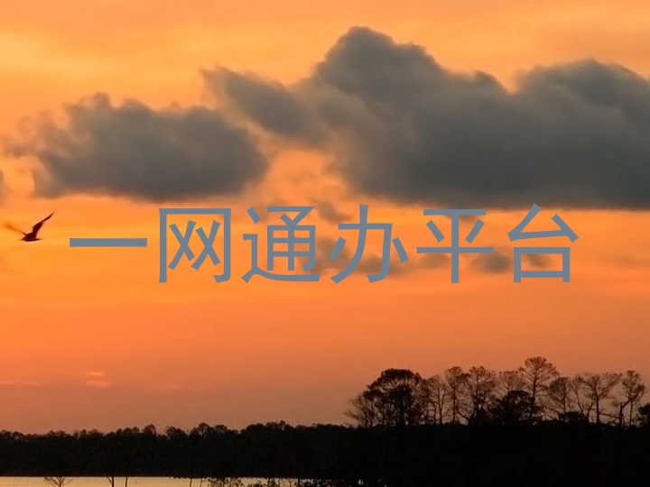 一网通办平台
