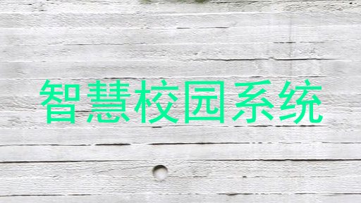 智慧校园系统
