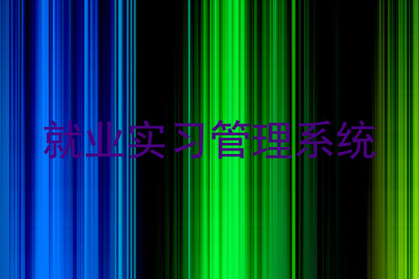 就业实习管理系统