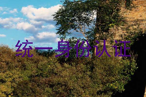 统一身份认证