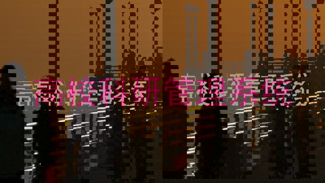 高校科研管理系统