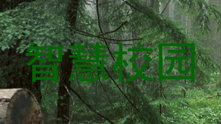 智慧校园