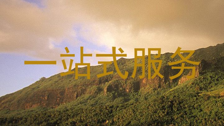 一站式服务