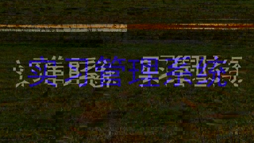 实习管理系统