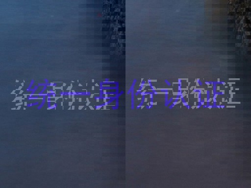 统一身份认证