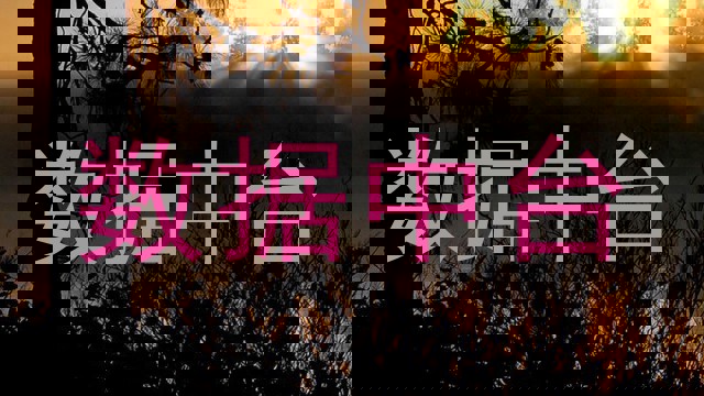 数据中台
