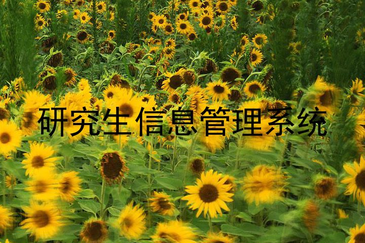 研究生信息管理系统