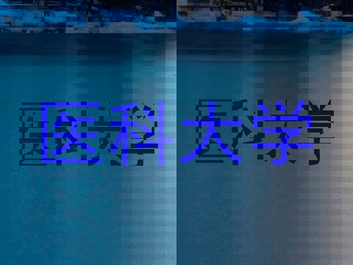 医科大学