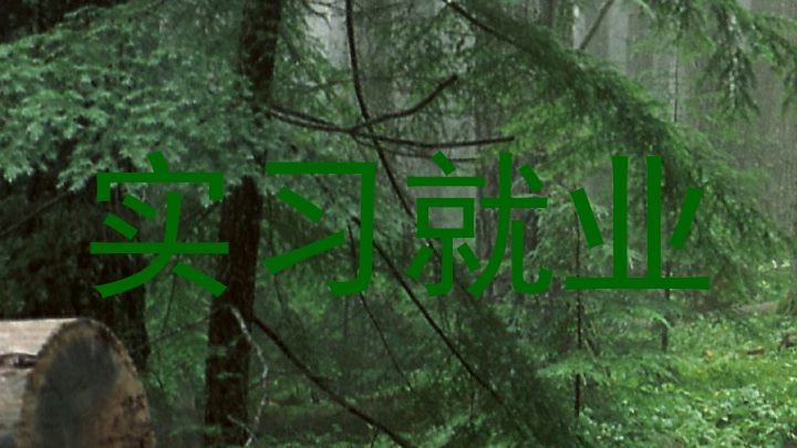 实习就业