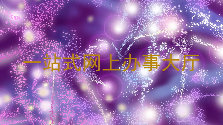 一站式网上办事大厅