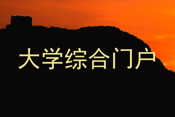 大学综合门户
