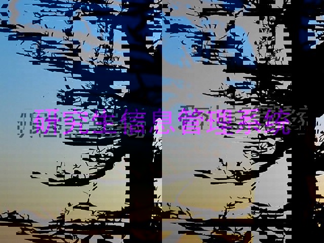 研究生信息管理系统