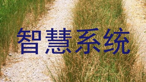 智慧系统