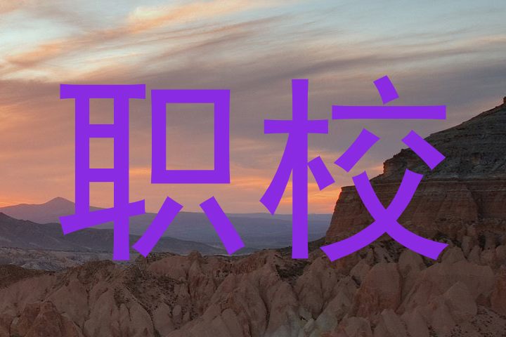 职校