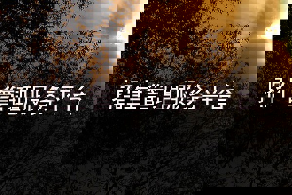 招生管理服务平台