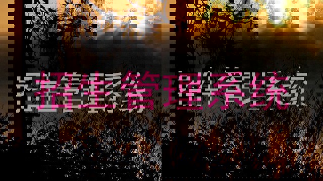 招生管理系统