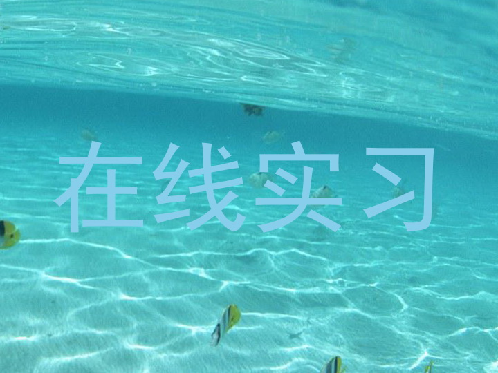 在线实习