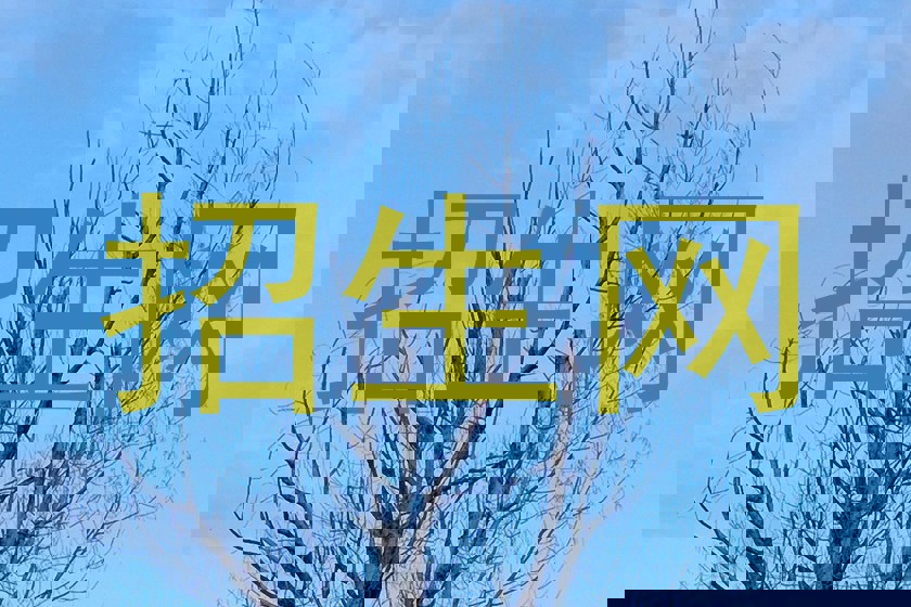 招生网