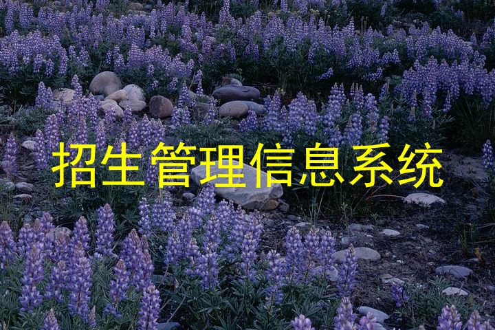 招生管理信息系统