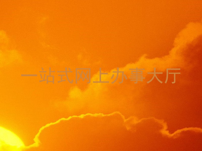一站式网上办事大厅