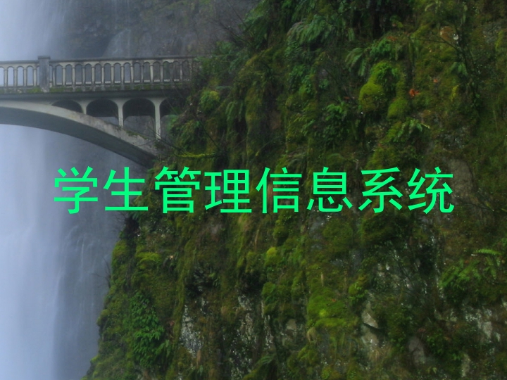学生管理信息系统