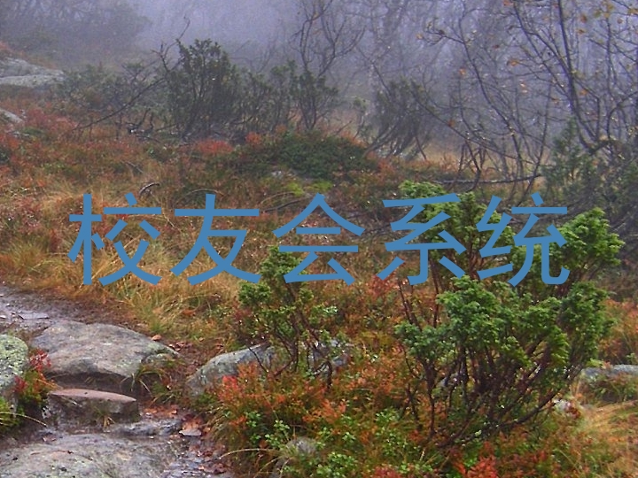 校友会系统