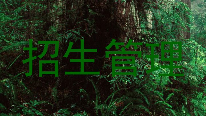 招生管理