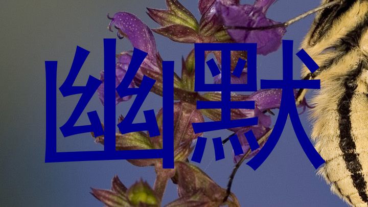 幽默
