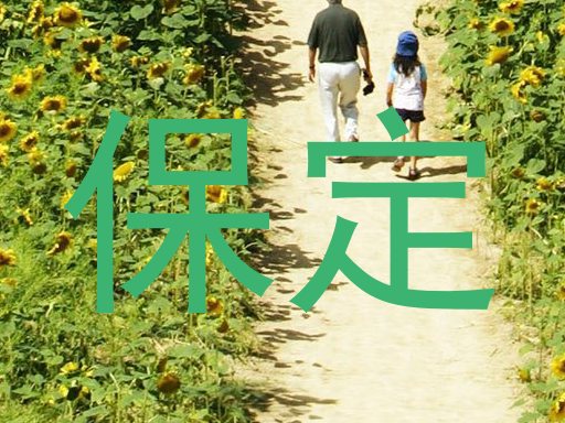 保定