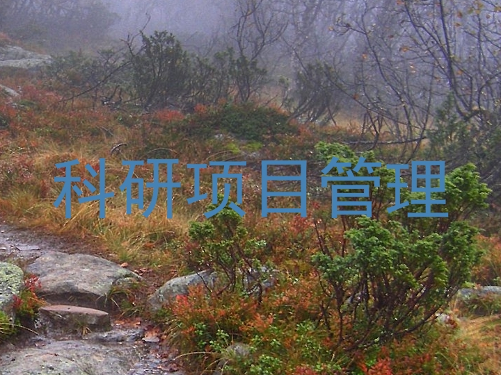 科研项目管理