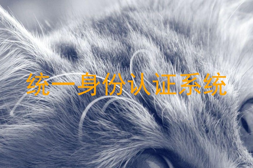 统一身份认证系统