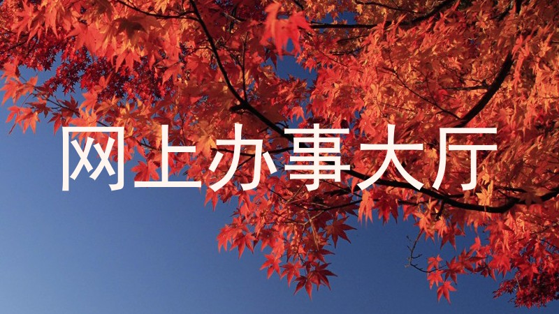 网上办事大厅