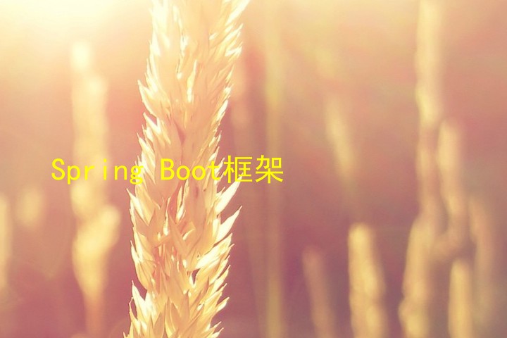 Spring Boot框架