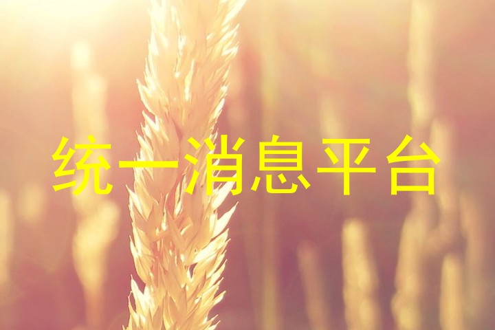 统一消息平台