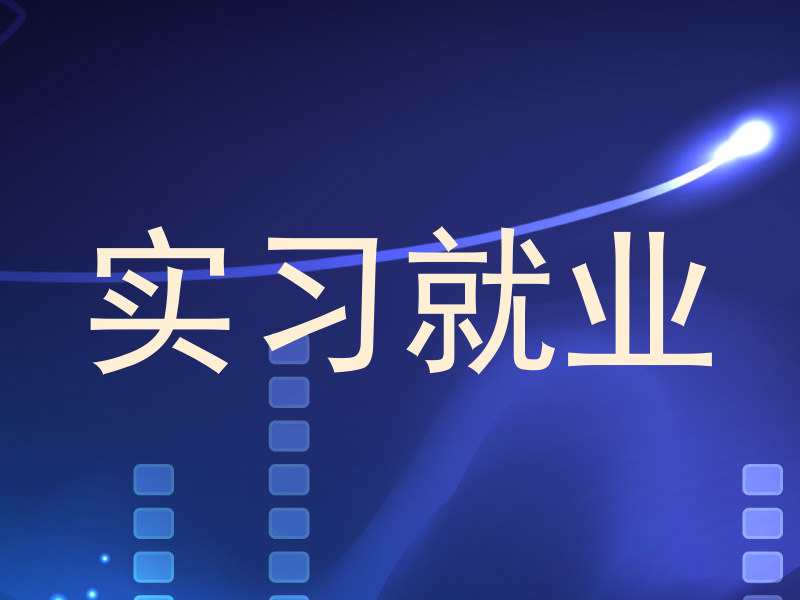 实习就业