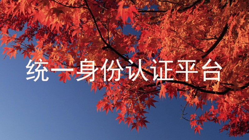 统一身份认证平台