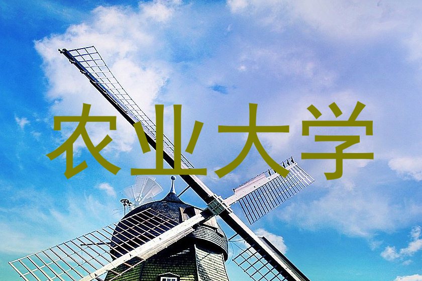 农业大学
