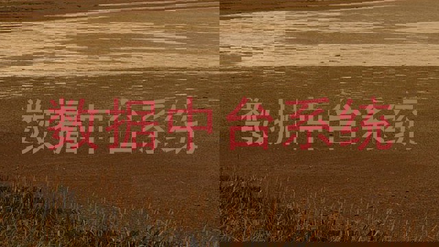 数据中台系统