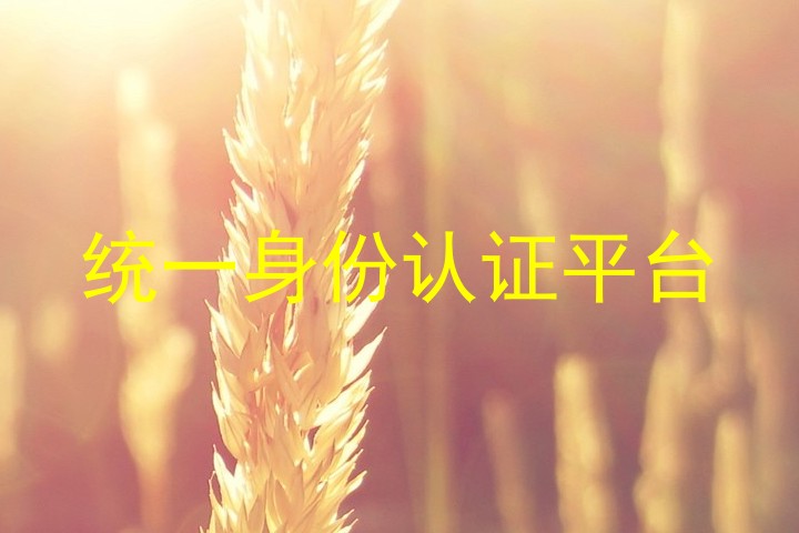统一身份认证平台
