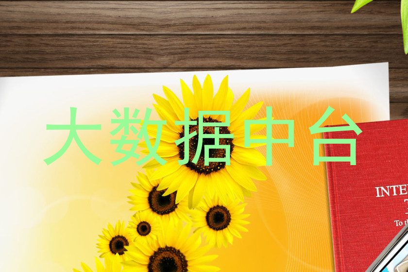 大数据中台
