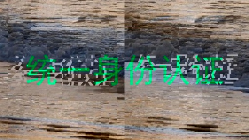 统一身份认证