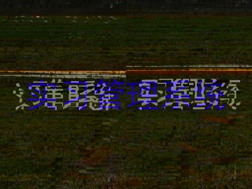 实习管理系统