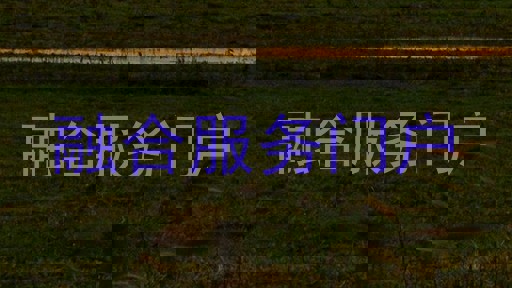 融合服务门户